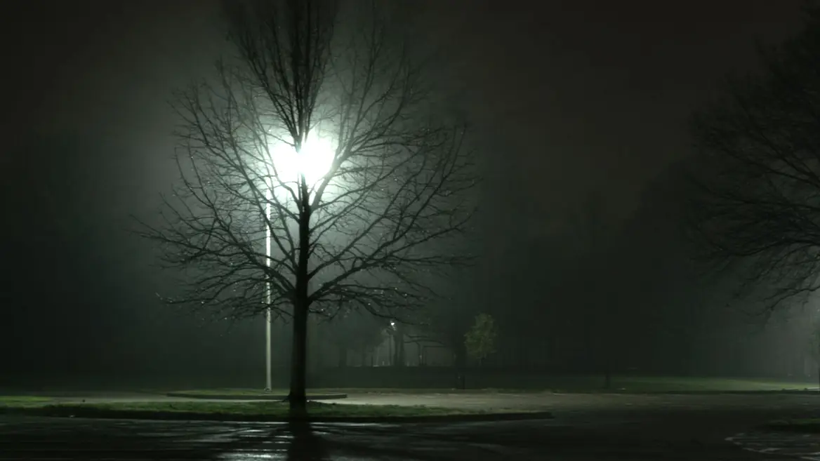 A single streetlight in an empty car park on a misty night, everything beyond it dark.